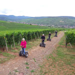 FUN MOVING gyropode Segway ALSACE VIGNOBLE OENOTOURISME