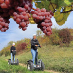 FUN MOVING gyropode Segway ALSACE INCENTIVE TEAM BUILDING SEMINAIRE