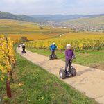 FUN MOVING gyropode Segway ALSACE INCENTIVE TEAM BUILDING SEMINAIRE