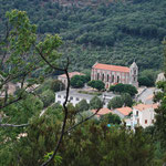 L'église de Zicavo