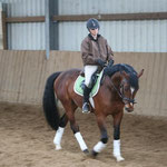 Hengst Excellent Lover
