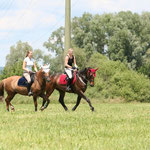 Cyprys und Pony Rinaldo
