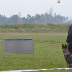 3 Jahre alt, IGP 2