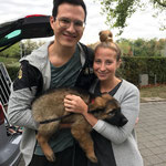 9 Wochen alt mit den neuen Besitzern