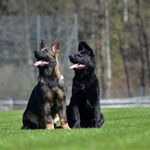 3,5 Monate alt mit Bruder Kiro