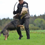 4 1/2 Jahre alt, IGP 3