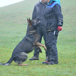 2 3/4 Jahre alt, Training Trimstein