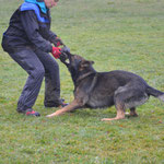 2 3/4 Jahre alt, Training Trimstein