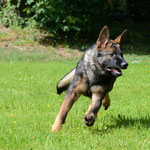 5 Monate alt
