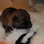 1 Woche
