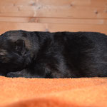 10 Tage alt