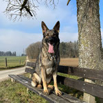 3 Jahre alt
