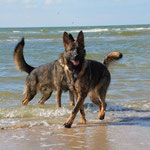 Schwedenferien, Insel Romo, 8 Monate alt