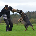4 1/2 Jahre alt, IGP 3
