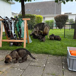 4 Wochen alt