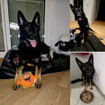 2 Jahre alt