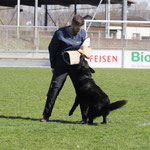 1. WUSV Ausscheidung 2025, Foto Pia Koster
