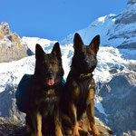 fast 10 Monate alt, Gringas erste Bergtour zur Blümlisalphütte