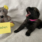 2 Wochen alt