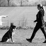 IGP1 Prüfung, 3 1/4 Jahre alt