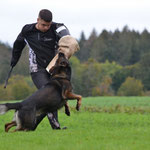 4 1/2 Jahre alt, IGP 3