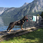 2 1/4 Jahre alt
