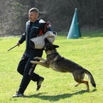 IGP1 Prüfung, 3 1/4 Jahre alt