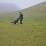 2 3/4 Jahre alt, Training Trimstein