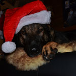 Weihnachten 2018