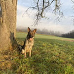 2 Jahre alt