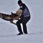 IGP3 Prüfung am 02.02.2019 mit 100/95/94 Total 289 Pkt.