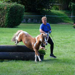 September 2025 Jump&Run