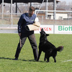 1. WUSV Ausscheidung 2025, Foto Pia Koster