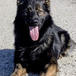 2 Jahre alt