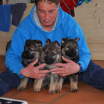 5 Wochen alt