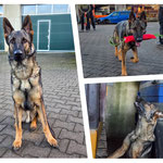 2 Jahre alt