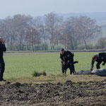 26 Monate alt, Einsatztest als Polizeischutzhund