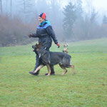 2 3/4 Jahre alt, Training Trimstein