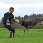 4 1/2 Jahre alt, IGP 3