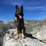 2 3/4 Jahre, Fründenhütte Sept. 2018