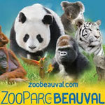 Zoo parc de Beauval - Saint Aignan sur Cher