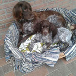 Kuscheln mit Mutti