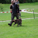 Zuchtschau 2010 