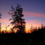 Sonnenuntergang am Jochberg