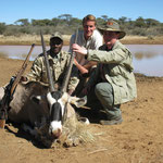Gemsbock ( Spießbock) Oryx Antilope 