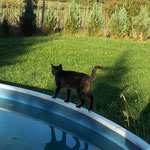 Oktober 2006 - Der Pool-Rundgang von Lucy ...