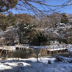 じゅん菜池は、雪景色になりました。ジュンサイの水槽には、氷が張っています。（2022年1月7日　撮影：篠原富士子）