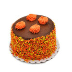 Autumn Festive Golden Chocolate Cake