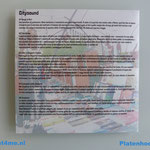 12-inch-platen-hoezen-printen