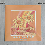 10-inch-jacket-printing